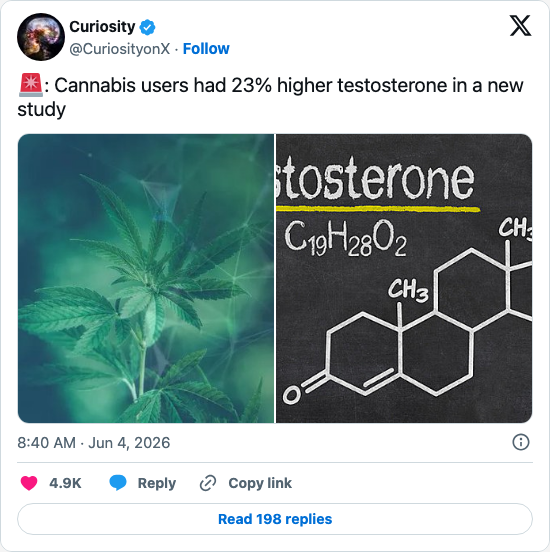 Timeline screenshot: 🚨: Cannabis users had 23% higher testosterone in a new study pic.twitter.com/0M4QvNiTAU